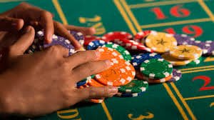 164bet